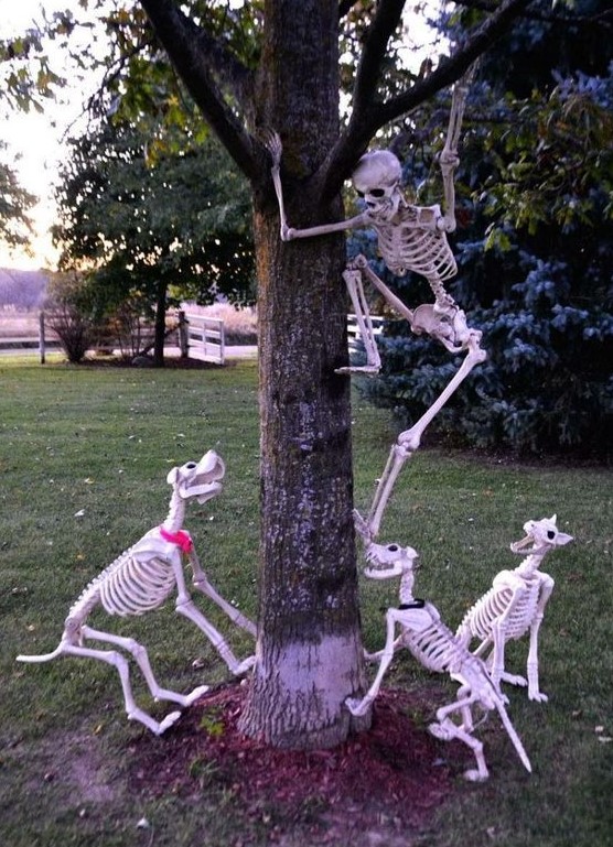 a skeleton saving itself from skeleton dogs is a cool idea to style your outdoor space for Halloween