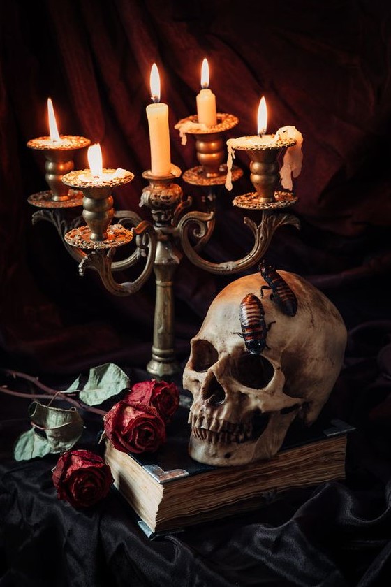 sophisticated moody Halloween decor with a vintage book, a candelabra, red roses and a skull with some roaches is chic
