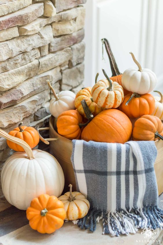a basket with white and orange pumpkins and a blue plaid blanket is a lovely decoration for fall and Thanksgiving