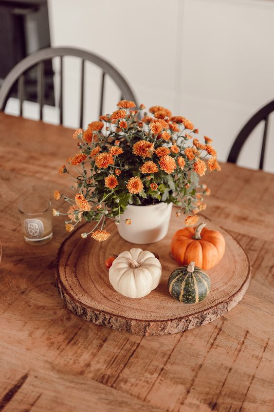 a bright rustic Thanksgiving centerpiece of a tree slice, white, green and orange pumpkins and potted orange blooms