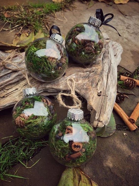 clear glass Christmas ornaments filled with moss, greenery, pinecones and cinnamon bark are amazing for woodland or rustic holiday decor