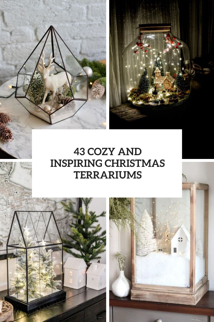 43 Cozy And Inspiring Christmas Terrariums