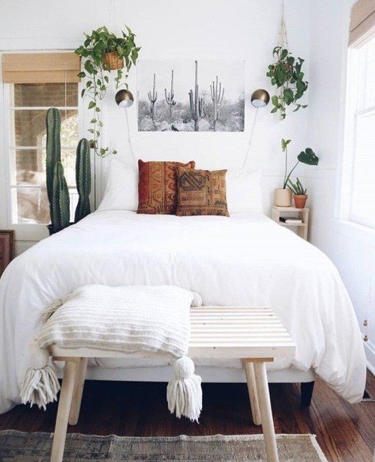 a small yet airy bedroom with potted cacti and greenery in pots attached to the wall for a fresh feel