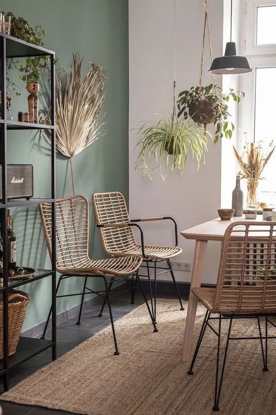 a modern boho dining space with a sage green accent wall, a light stained table and rattan chairs, a black shelvint unit and potted greenery