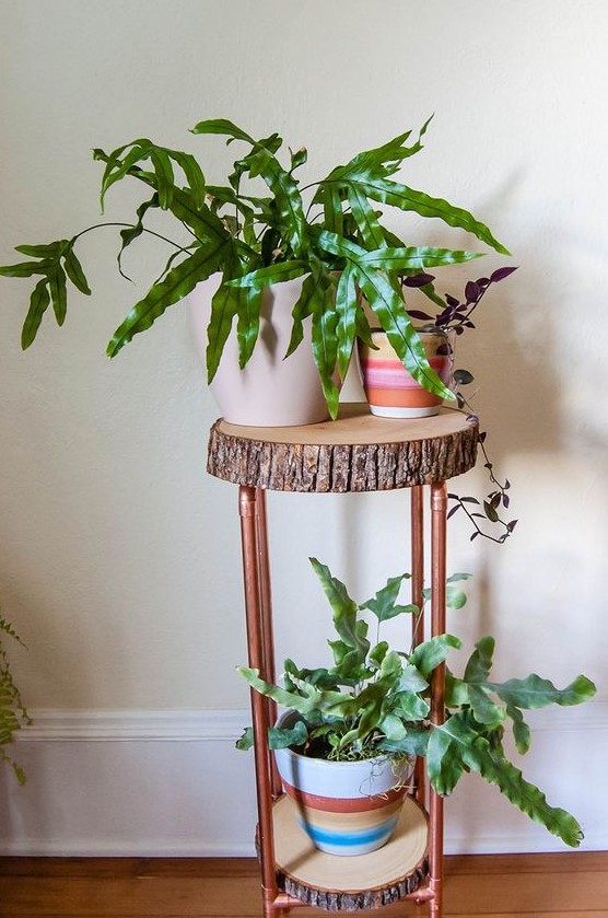 a cool plant stand of tree slices and copper pipes is great for a mid-century modern or rustic interior, it can be DIYed