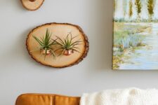 17 tree slice home decor on the wall with copper planters and air plants in them is a cool rustic decor idea for any home