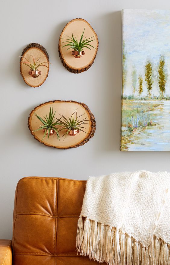 tree slice home decor on the wall with copper planters and air plants in them is a cool rustic decor idea for any home