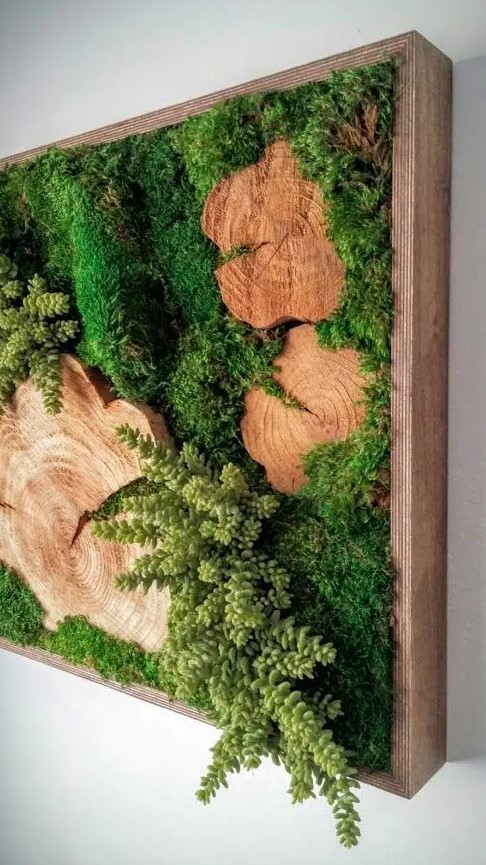 a gorgeous moss and succulent plus wood slices wall art for a rustic and woodland feel