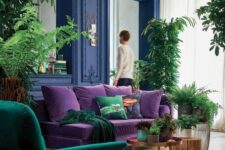 a bright living room with bold blue walls, a purple sofa, an emerald chair, potted greenery and a large mirror