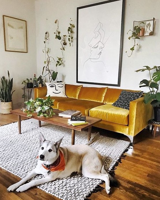 a bold mustard velvet sofa is the centerpiece of the living room, with its color and material