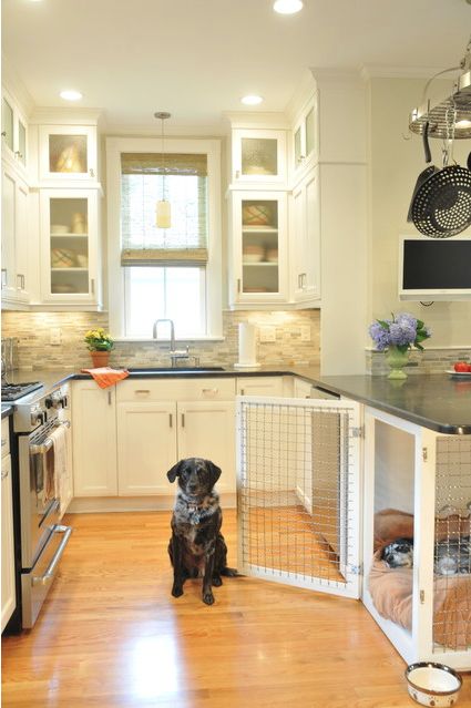 Best place to put dog crate deals in house