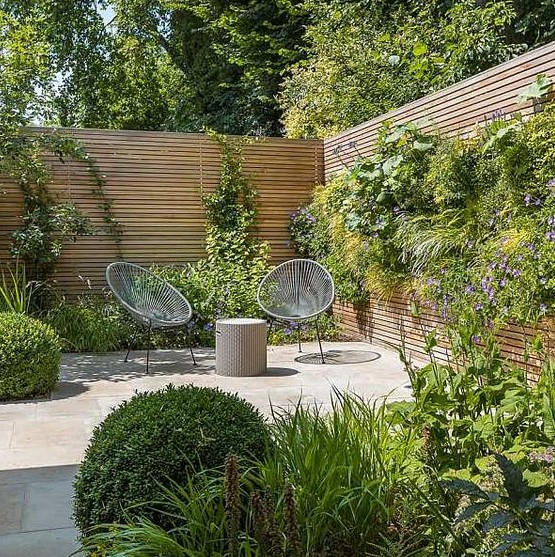 a small modern garden with lush grasses, some shrubs and some climbing greenery plus a whole living wall a small modern garden with lush grasses, some shrubs and some climbing greenery plus a whole living wall