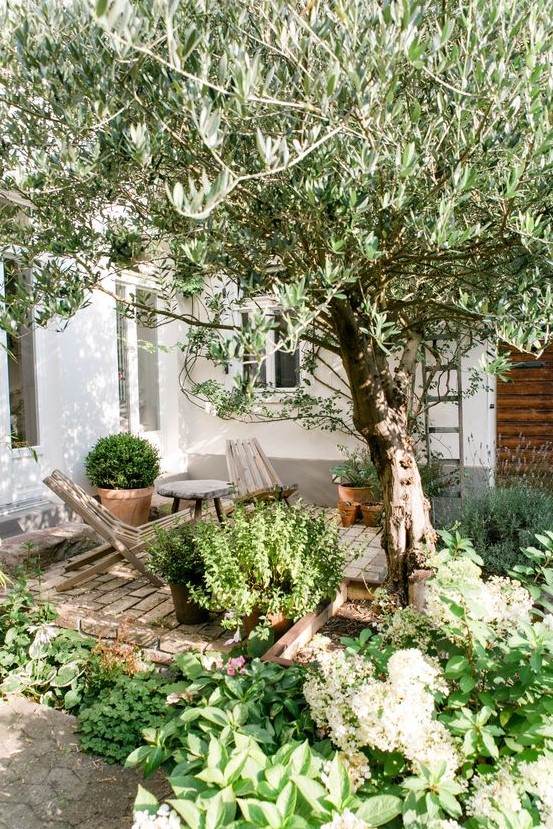 a small and cozy backyard with a brick clad space, some wooden chairs and lots of greenery and a tree around a small and cozy backyard with a brick clad space, some wooden chairs and lots of greenery and a tree around