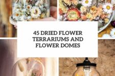 45 dried flower terrariums and flower domes cover