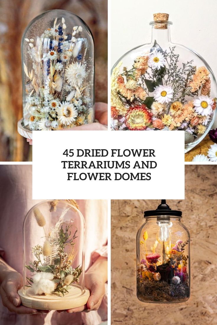 dried flower terrariums and flower domes cover