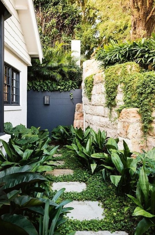 a small side modern garden nook with greenery, some lush tropical shrubs on both sides of the pavement a small side modern garden nook with greenery, some lush tropical shrubs on both sides of the pavement