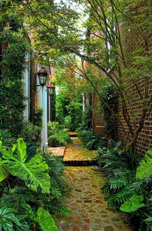 a moody side garden clad with stone and brick, with a lot of greenery, vines and some trees looks very elegant and a bit mysterious a moody side garden clad with stone and brick, with a lot of greenery, vines and some trees looks very elegant and a bit mysterious
