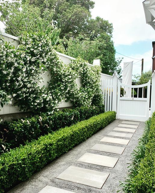 a polished side garden with greenery and shrubs, white blooming wreaths and a concrete tile pathway a polished side garden with greenery and shrubs, white blooming wreaths and a concrete tile pathway