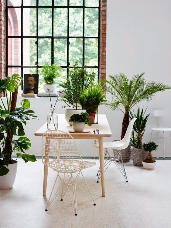 a tropical dining space with a light-stained table, white Eames chairs and lots of potted plants all over the space