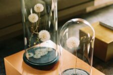 cloches with black trays and some dried dandelions are idea for summer decor, they look airy and chic