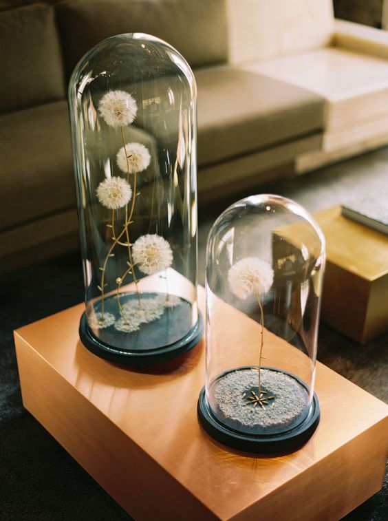 cloches with black trays and some dried dandelions are idea for summer decor, they look airy and chic