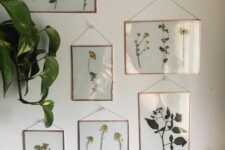 pressed flowers and leaves with gold frames are a delicate and chic gallery wall with a strong natural feel