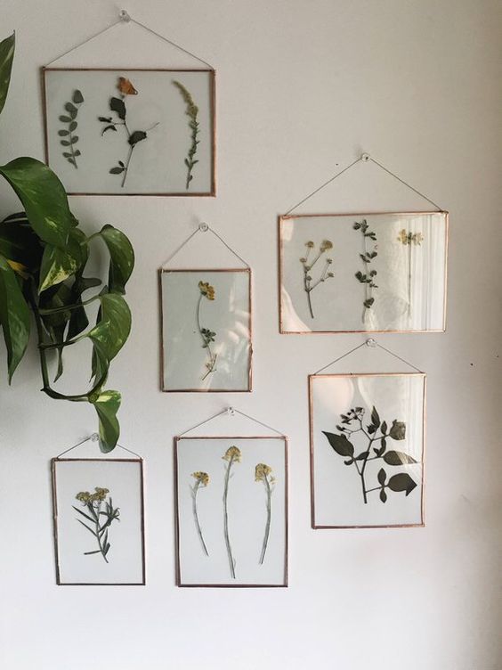 40 Summer-Inspired Pressed Flower Frame Decor Ideas - DigsDigs