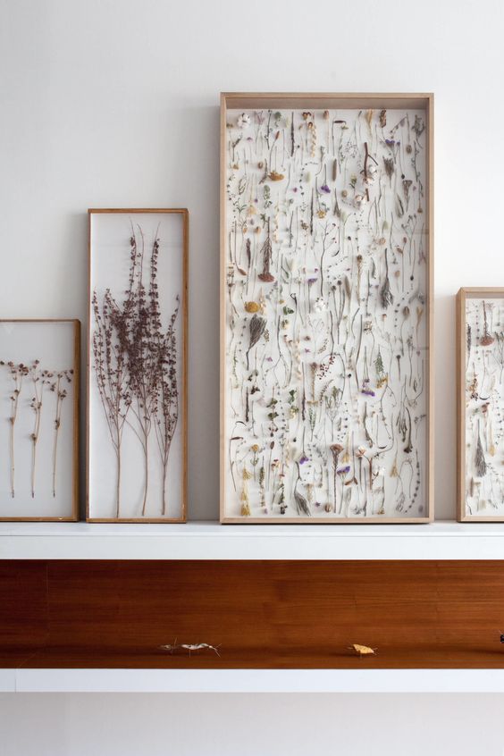 pressed flowers, leaves and blooming branches in light stained frame can form a whole gallery wall
