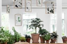 pressed leaves in gilded frames hanging over the space are an ultimate solution for any modern space