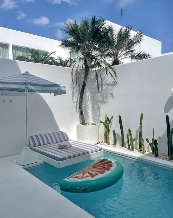 07-a-little-minimalist-backyard-done-in-white-with-a-plunge-pool-some-growing-cacti-a-tree-a-daybed-and-a-pool-float.jpg