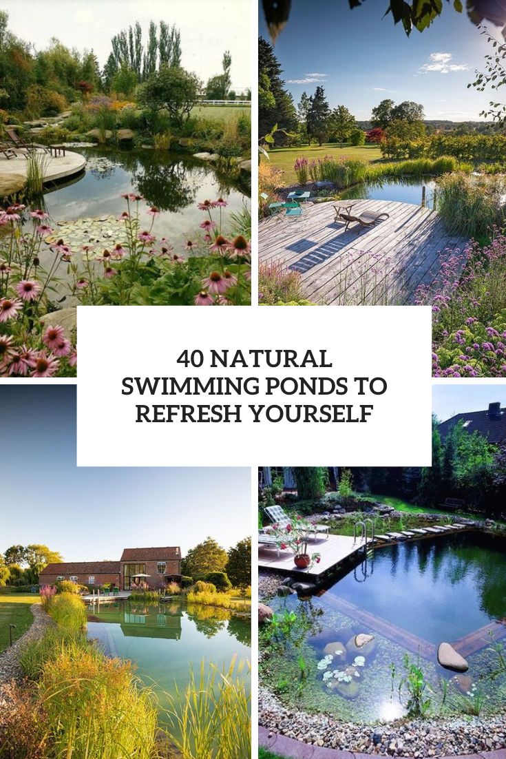 40 Natural Swimming Ponds To Refresh Yourself