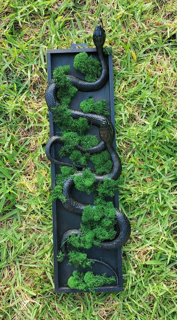 a creative Halloween wall art piece of a frame with moss and black snakes is an easy DIY