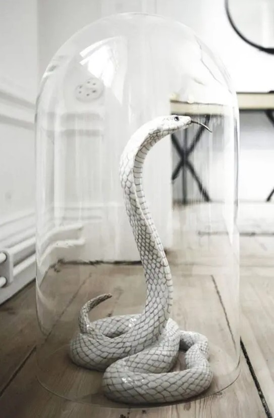 a white snake in a cloche is an elegant and scary Halloween decoration you can make