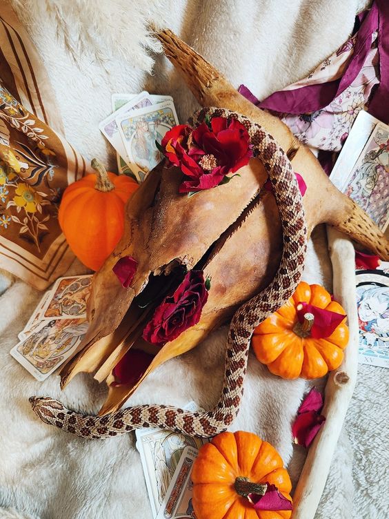 an animal skull decorated with blooms and a resin snake plus some pumpkins around for bold and chic Halloween decor