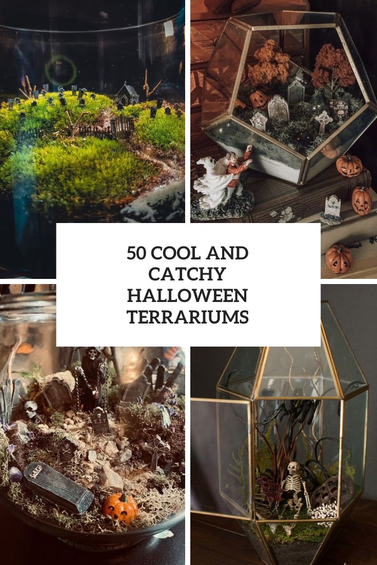 50 Cool And Catchy Halloween Terrariums