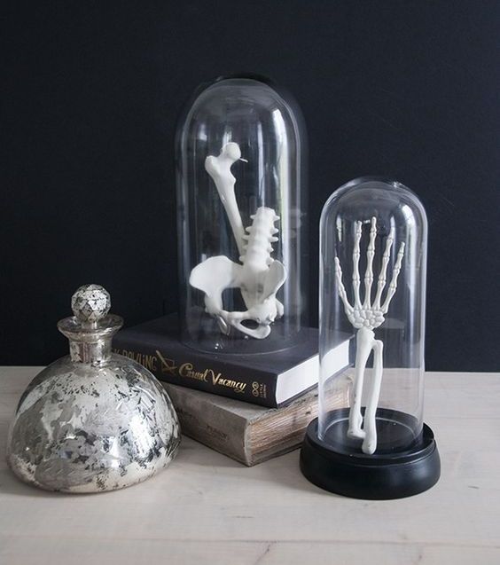 Halloween decor with books and cloches containing skeleton fragments is a lovely idea for a modern space, you can make these quickly