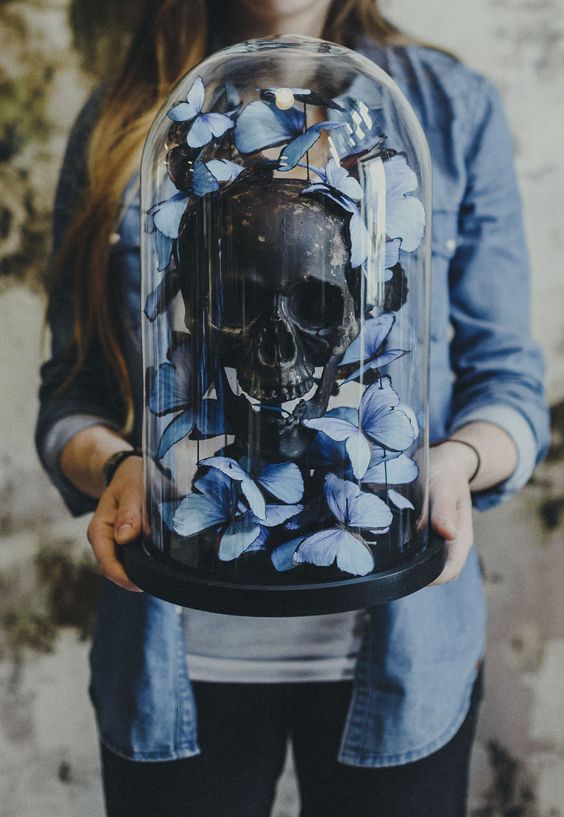 a Halloween cloche with a black human skull and blue butterflies is amazing for party decor