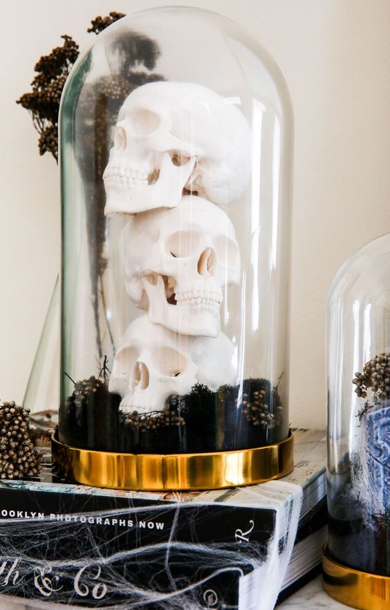 a Halloween cloche with black seed pods and stacked skulls is a cool idea for a Halloween party