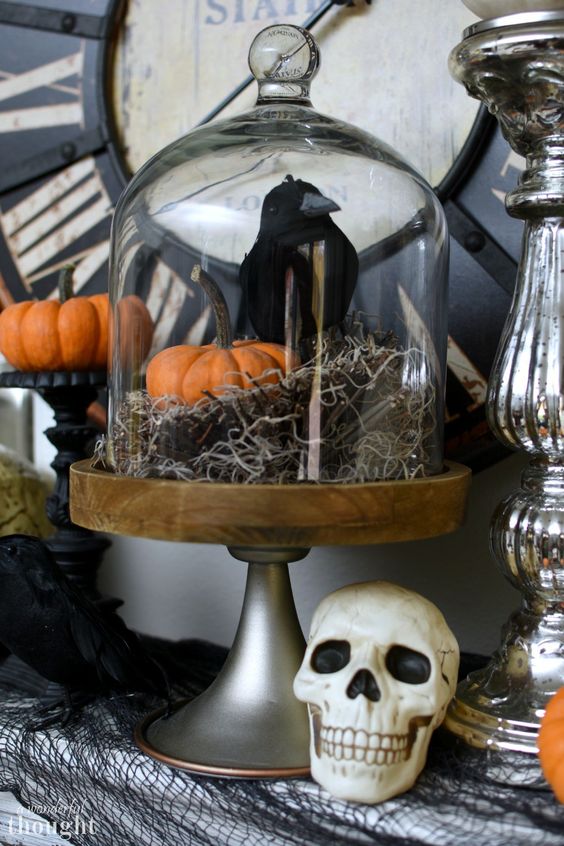 a Halloween cloche with hay, a pumpkin and a blackbird is a cool decoration that you can make very easily