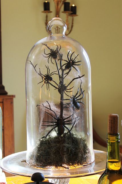 a Halloween cloche with moss, a black branch and spiders is veyr easy to make and you can do it really fast