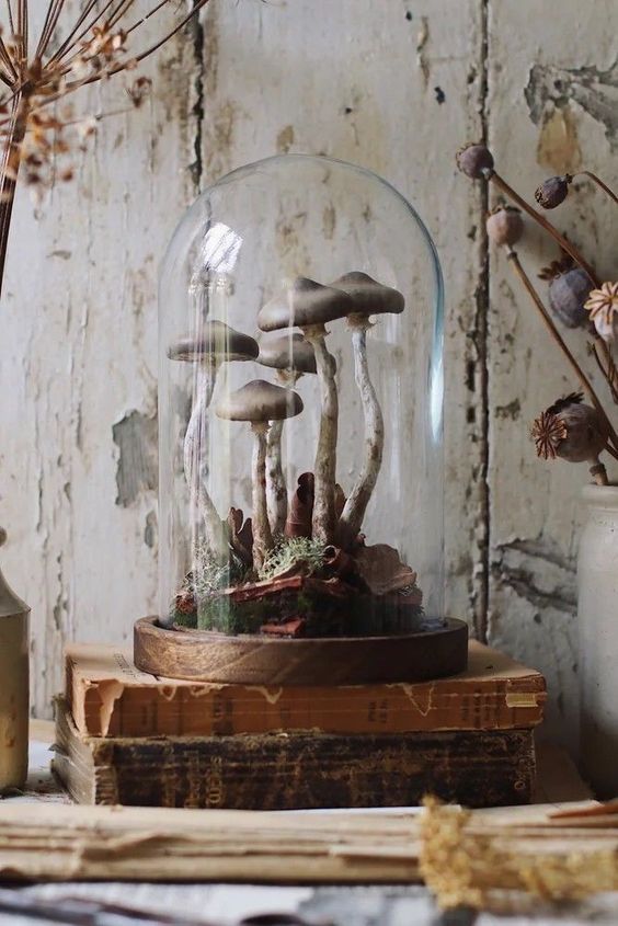 a Halloween cloche with moss and bark plus some poisoned mushrooms is a great idea for a vintage space
