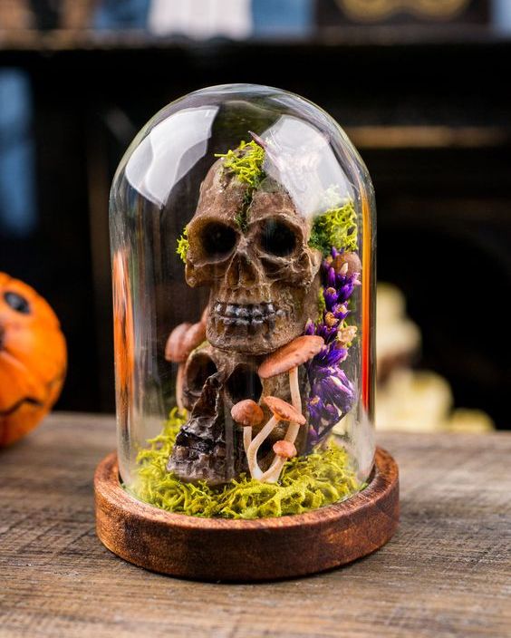 a Halloween cloche with moss, faux skulls, mushrooms and bold blooms is a cool and creative idea for decor