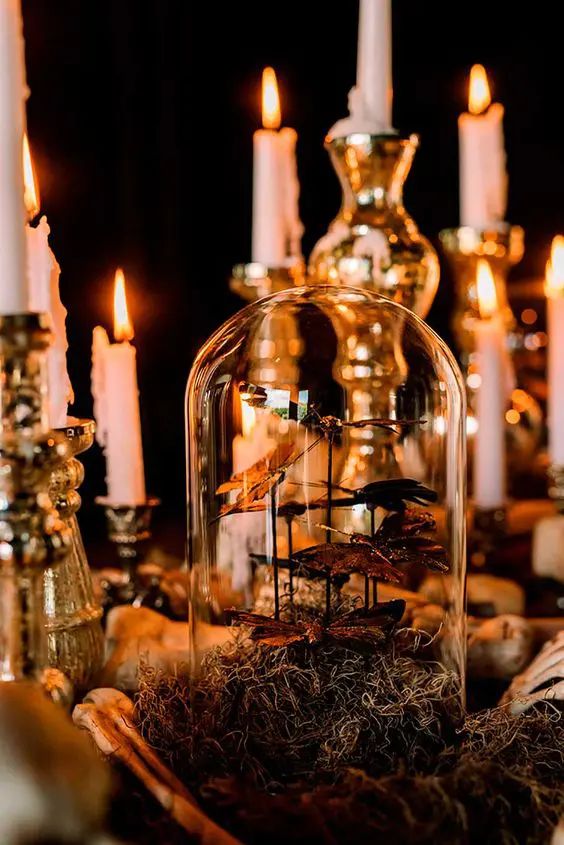 a refined Halloween cloche decorated with moss and some dark butterflies is a gorgeous idea for a vintage or vampire-inspired party