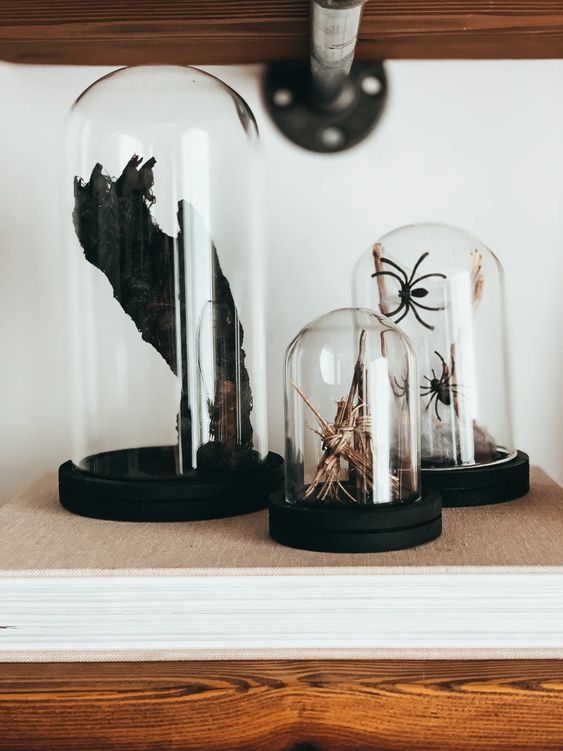 a series of cloches with spiders, brooms and a scary black paw will make your space feel like Halloween