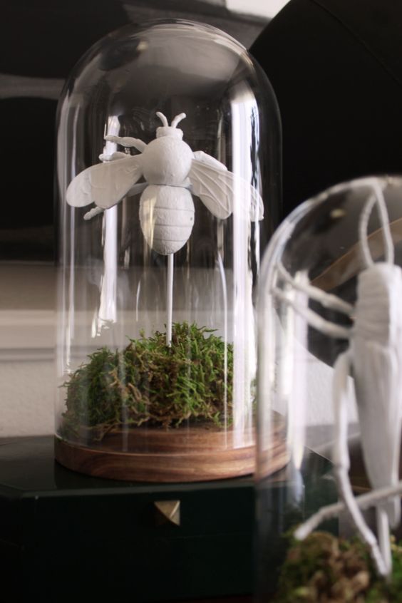 a simple Halloween cloche with a bug from dollar store and moss is a creative idea for decorating