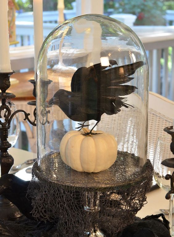 a simple and stylish Halloween decoration of a cloche with a white pumpkin and a blackbird on top is a cool and bold idea