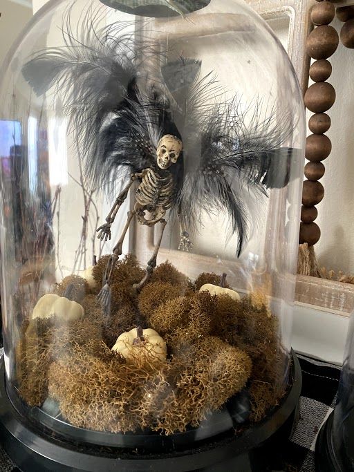 a unique Halloween cloche with moss, white pumpkins, a skeleton with black feather wings is a gorgeous idea