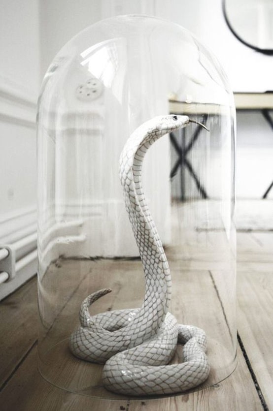 a white snake in a cloche is an elegant and scary Halloween decoration you can make