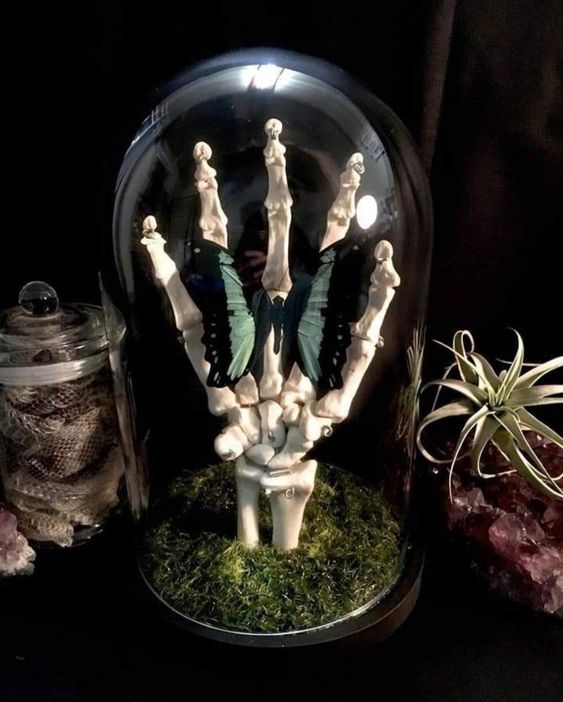 an elegant Halloween cloche with moss, a skeleton hand and a bold butterfly is amazing for decorating your space