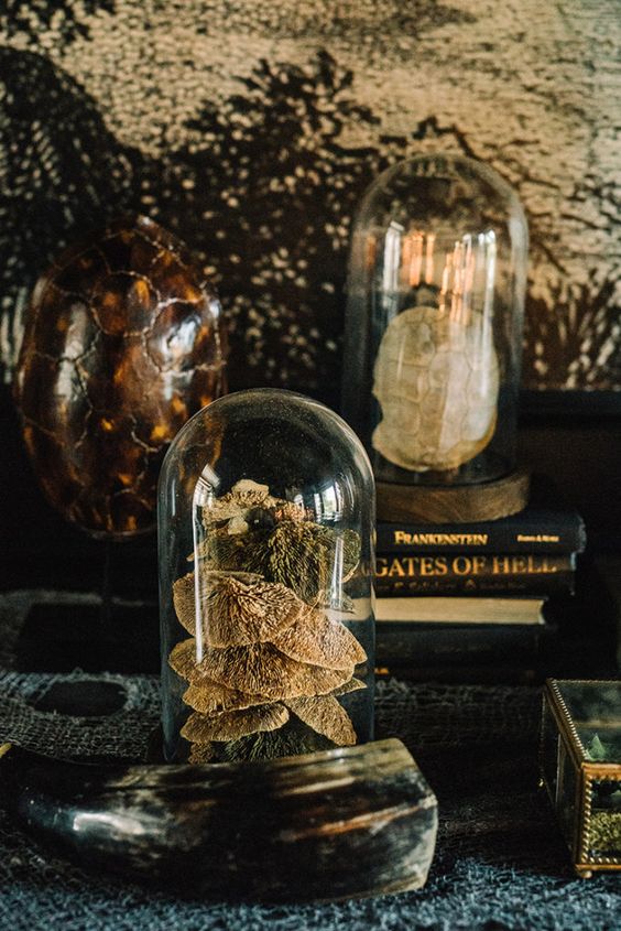 beautiful and creepy Halloween cloches with mushrooms and a faux turtle are amazing for styling your home for Halloween